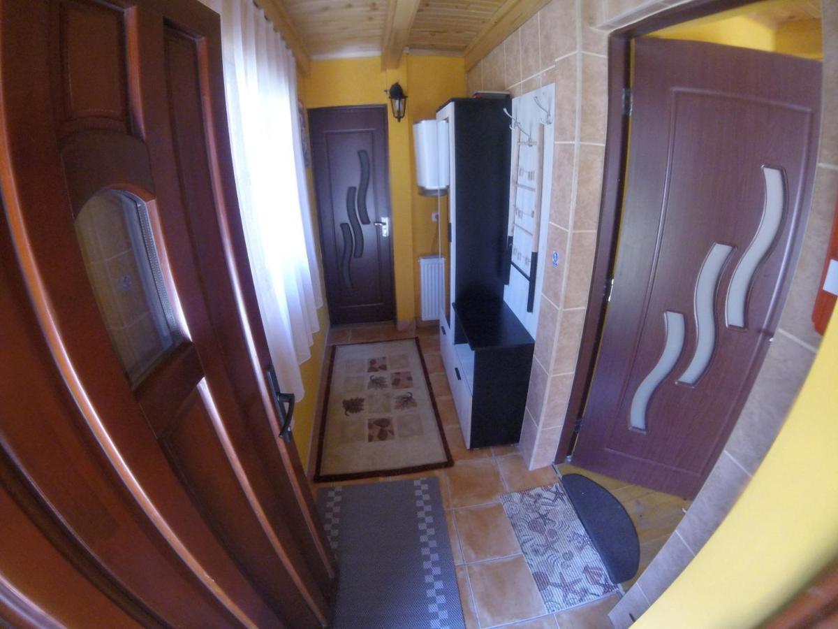 Cabana Fario Rau Mare - Retezat Clopotiva Exterior photo